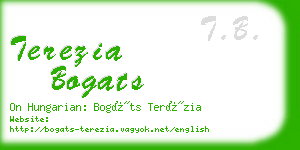 terezia bogats business card